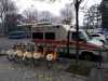 IMG-20210220-WA0061